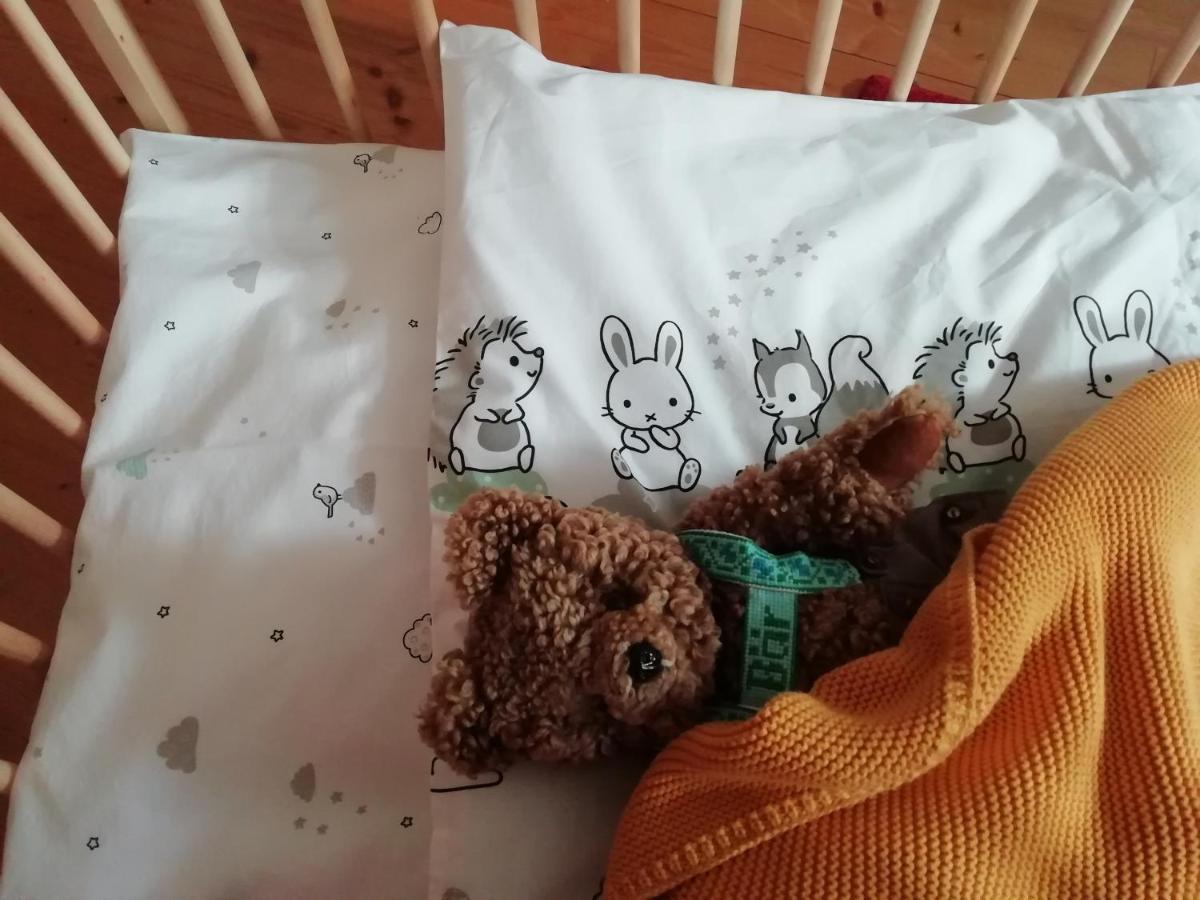 Die Kalsbergerin Ferienwohnung Fuer Geniesser Donnersbachwald Extérieur photo