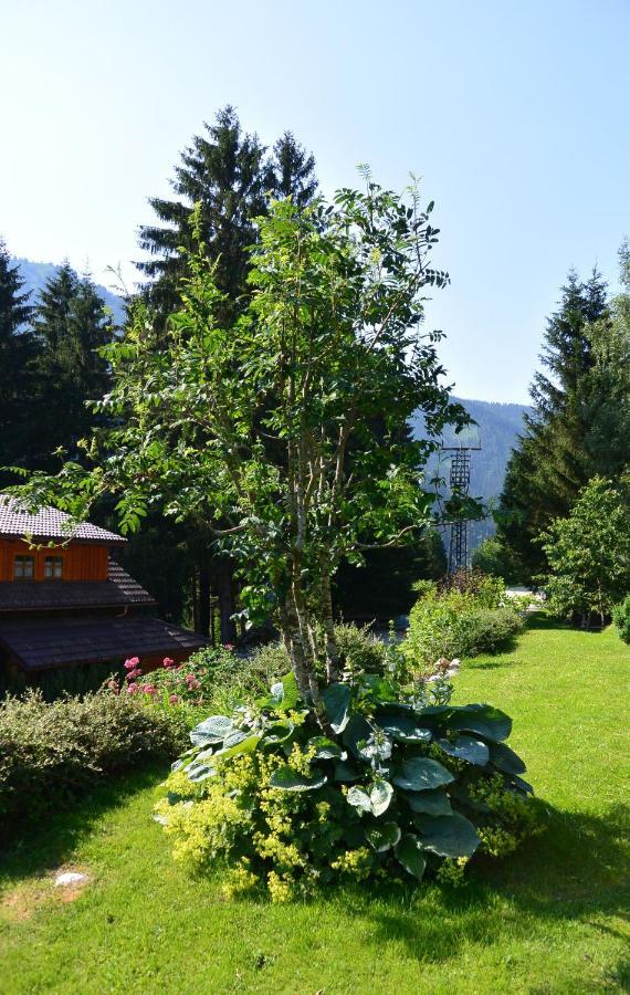 Die Kalsbergerin Ferienwohnung Fuer Geniesser Donnersbachwald Extérieur photo